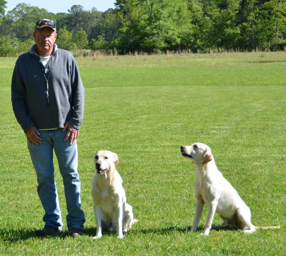 Todd_Dogs